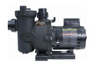 Jandy Single Speed Pumps