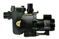 Jandy 2-Speed Pumps